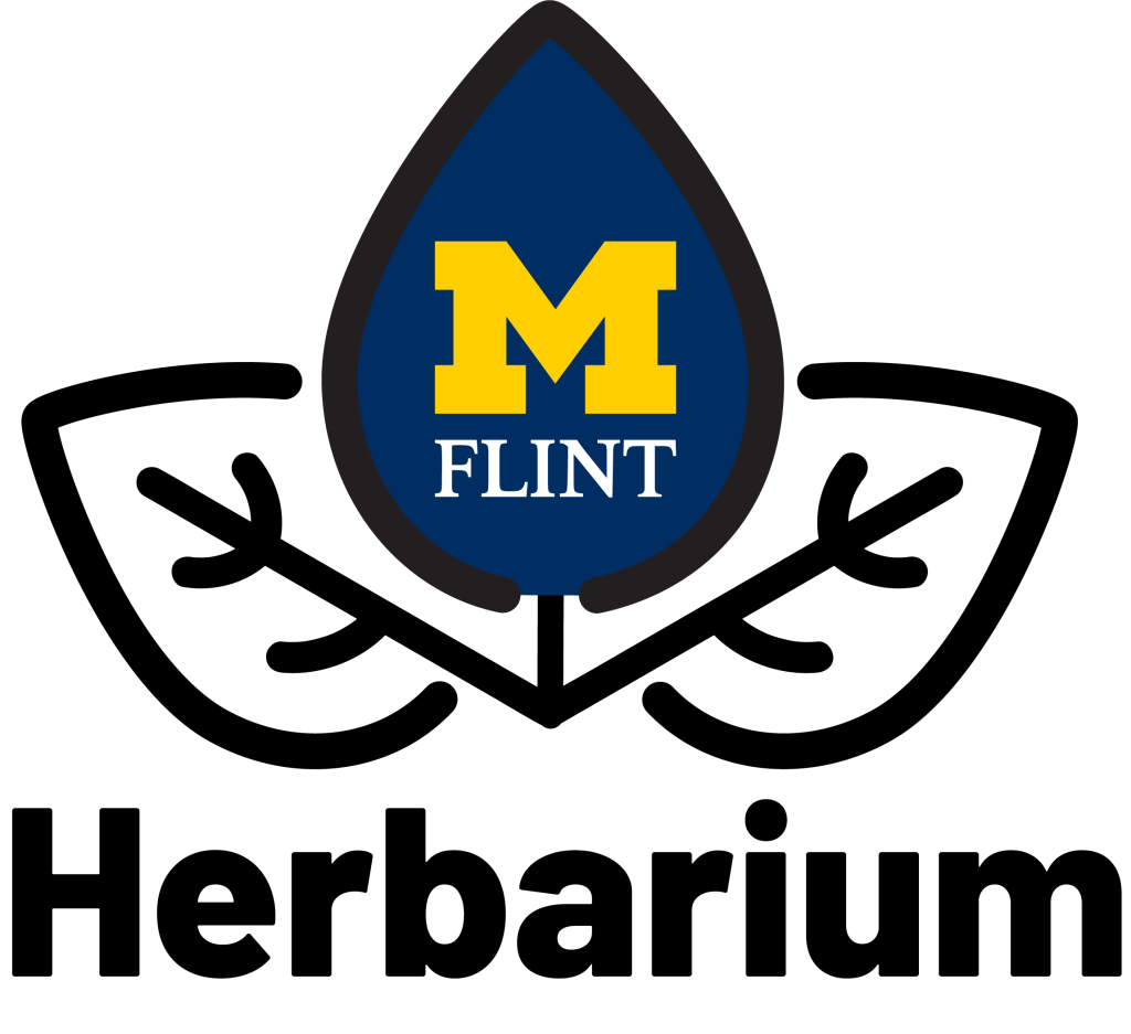 Logo featuring a blue water droplet with a yellow "M" and the word "FLINT" below it, flanked by two white leaves.