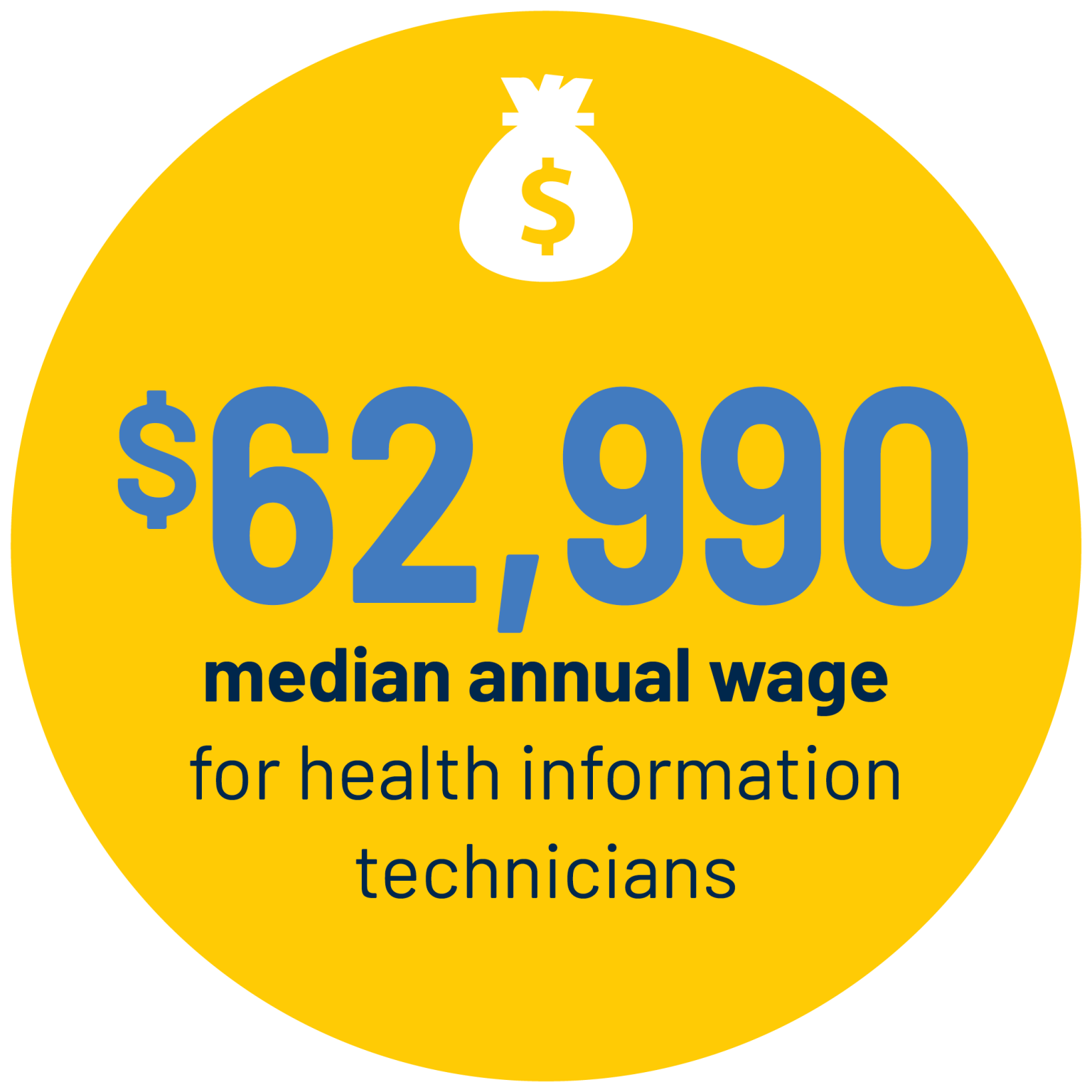 Online BS In Health Information Technology University Of Michigan Flint