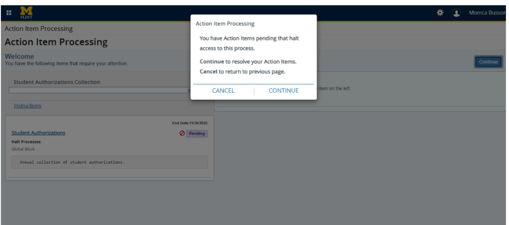 Action Item Processing interface displaying a message about pending action items that halt access. Options to "Continue" or "Cancel" are provided.